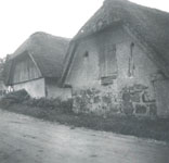 eika image